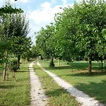 Il Mulino Di Augusto E Marianna *