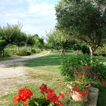 Il Mulino Di Augusto E Marianna