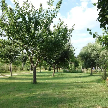 Il Mulino Di Augusto E Marianna * Corinaldo