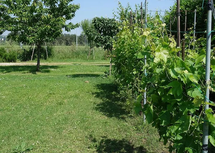 Il Mulino Di Augusto E Marianna Коринальдо